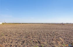 Fm-112, Thrall, TX 76578