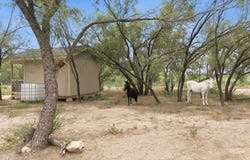 1083 CR 6610, Devine, TX 78016
