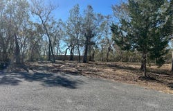 158 sw 279th Ave, Steinhatchee, FL 32359