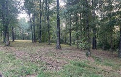 Anderson Dr, PARIS, TN 38242
