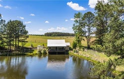 8280 COUNTY ROAD 222, FIVE POINTS, AL 36855