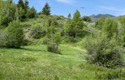 RODEO Road, Jackson, WY 83001