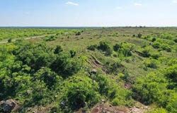 FM 175, Jacksboro, TX 76365