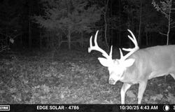 TBD Varvel Road, Willow Springs, MO 65793