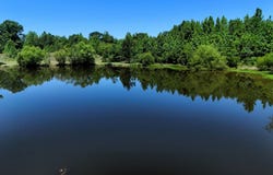 000 County Road 4, Fitzpatrick, AL 36029
