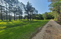 Thompson Lane, Carriere, MS 39426