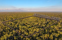 SW 550th St, Horseshoe Beach, FL 32648