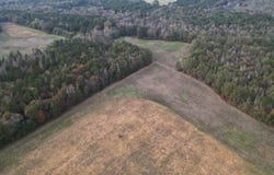 MC 265, Fouke, AR 71837
