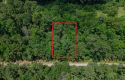 Zapata Way, WILLIS, TX 77378