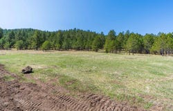 Lot H Cold Spring Trl, Custer, SD 57730