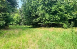 Old Cherokee Trail, Saluda, SC 29138