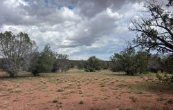 185 Cooks Trail, Ash Fork, AZ 86320