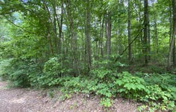 Fawn Circle lot: 267, Dunlap, TN 37327