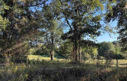 Polk Road 19, Cove, AR 71937