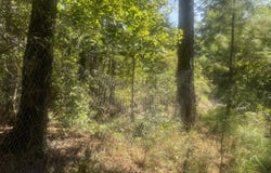 Bud Stephens Road, Evergreen, NC 28438