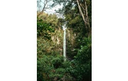 Volcan, Chiriqui,