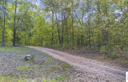 80 +/- Acres Proctor Lane, Gravois Mills, MO 65037