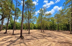 NE 88TH Lane, BRONSON, FL 32621