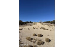 9 County Road 5700, Concho, AZ 85924