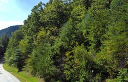 275 Kincaid Place, Mill Spring, NC 28756