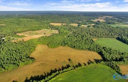 40acres County Road 668, Henagar, AL 35978