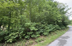 1200 Owens Branch Road, Dunnville, KY 42528