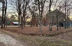 Sulphur Ck Road, Big Sandy, TN 38221