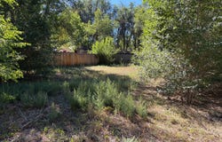 207 5th Ave, Longmont, CO 80501