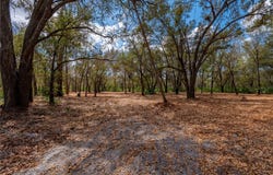 SE HWY 31, ARCADIA, FL 34266