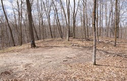 Tbd TBD, Little Elbow Twp, MN 56566