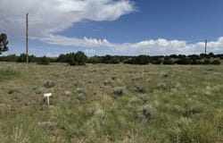 31 County Road 5203, Concho, AZ 85924