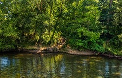 790 Free Bridge Rd, Ware Shoals, SC 29692