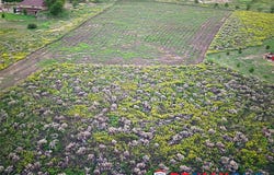 825 S Wilderness Road, Garden City, KS 67846