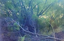 490 D Chavarria Rd, Eagle Pass, TX 78852