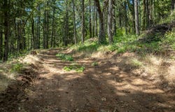 Lyons Rd, WhiteSalmon, WA 98672
