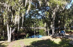 105 Shad Road, Bloomingdale, GA 31302