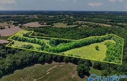 37 Old McLemore Road, Taft, TN 38488