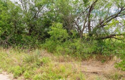 Private Lane, Hawley, TX 79525