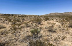 San Jacinto Run, Sierra Blanca, TX 79851