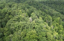Big Creek Road, Walton, WV 25286