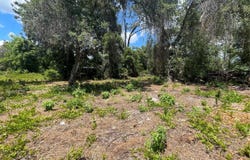 COUNTY ROAD 42, UMATILLA, FL 32784