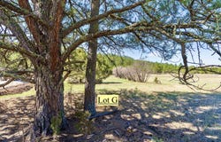 Lot G Cold Spring Trl, Custer, SD 57730