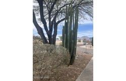 7252 E Caminito Feliz, Tucson, AZ 85710