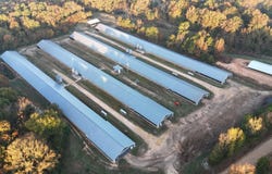 1034 MCCRARY ROAD, Downsville, LA 71234