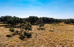 Legacy Oaks Dr, Harper, TX 78631