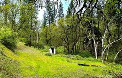41 Viola Ln, Lewiston, CA 96052