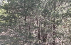 Gumbo Woods lot: #94, Shell Knob, MO 65747