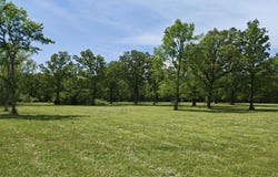 Wallis Street, Mountain View, AR 72560-0000