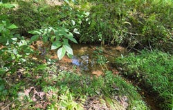 JOHNSON Hollow, LOUISA, VA 23093