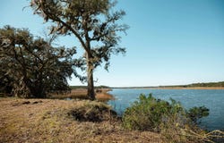 1939 Mauricena Rd., Georgetown, SC 29440